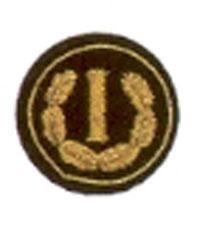 Funktionsabzeichen Bezirksinspektor