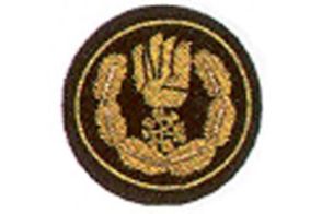 Funktionsabzeichen Bezirksebene