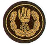 Funktionsabzeichen Bezirksebene