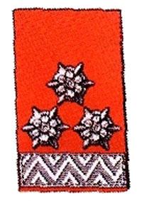 Kragenspiegel Hauptlöschmeister