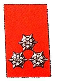 Kragenspiegel Hauptfeuerwehrmann