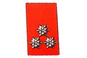 Kragenspiegel Hauptfeuerwehrmann