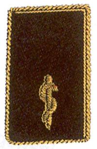 Kragenspiegel Feuerwehrarzt