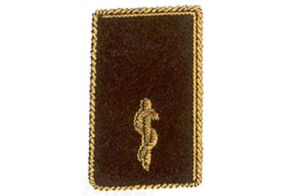 Kragenspiegel Feuerwehrarzt