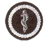 Funktionsabzeichen Feuerwehrmedizinischer Dienst