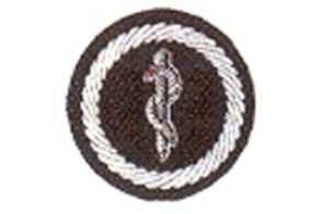 Funktionsabzeichen Feuerwehrmedizinischer Dienst