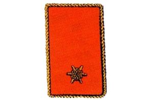 Kragenspiegel Brandinspektor