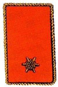 Kragenspiegel Brandinspektor