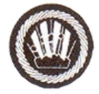 Funktionsabzeichen Sprengbefugter