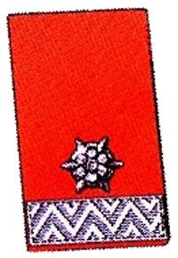 Kragenspiegel Löschmeister