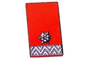 Kragenspiegel Löschmeister