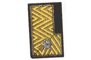 Kragenspiegel Bezirksverwalter