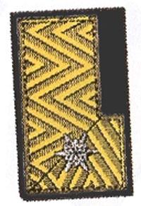 Kragenspiegel Bezirksverwalter