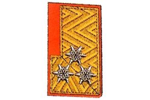 Kragenspiegel Oberbrandrat