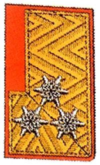 Kragenspiegel Oberbrandrat