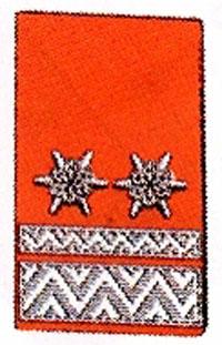 Kragenspiegel Oberbrandmeister