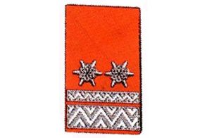 Kragenspiegel Oberbrandmeister