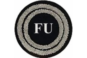 Funktionsabzeichen Beauftragter Funk