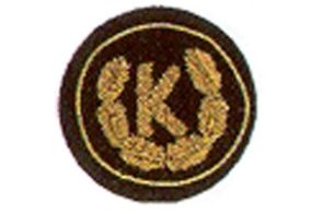 Funktionsabzeichen Bezirkskassier