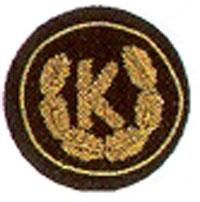 Funktionsabzeichen Bezirkskassier