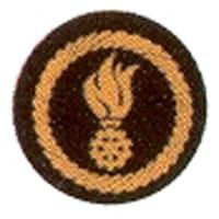 Funktionsabzeichen Feuerwehrkommandant