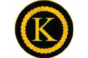 Funktionsabzeichen Kassier