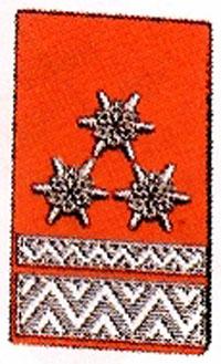 Kragenspiegel Hauptbrandmeister