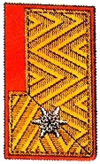 Kragenspiegel Abschnittsbrandinspektor