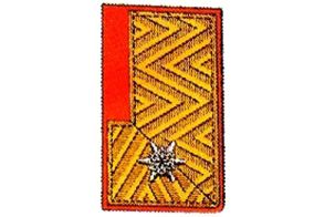 Kragenspiegel Abschnittsbrandinspektor