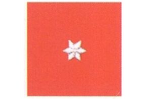 Aufschiebeschlaufe Feuerwehrmann