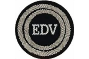 Funktionsabzeichen Beauftragter EDV