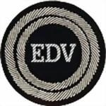 Funktionsabzeichen Beauftragter EDV