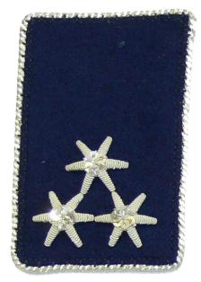 Kragenspiegel Verwalter