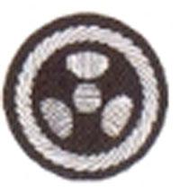 Funktionsabzeichen Strahlenschutz