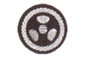 Funktionsabzeichen Strahlenschutz