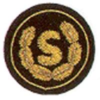 Funktionsabzeichen Bezirksschriftführer