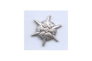 Sternrosette Weissmetall