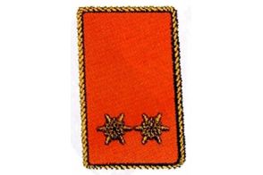 Kragenspiegel Oberbrandinspektor