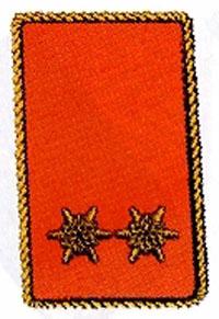 Kragenspiegel Oberbrandinspektor