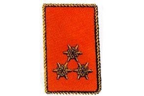 Kragenspiegel Hauptbrandinspektor