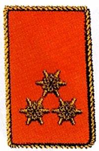 Kragenspiegel Hauptbrandinspektor