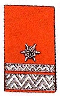 Kragenspiegel Brandmeister