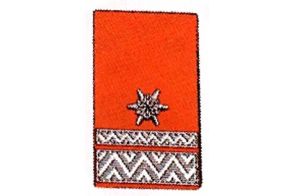 Kragenspiegel Brandmeister