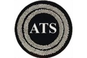 Funktionsabzeichen Beauftragter Atemschutz