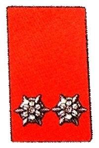 Kragenspiegel Oberfeuerwehrmann