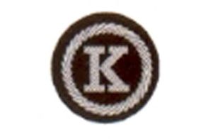 Funktionsabzeichen Kassier