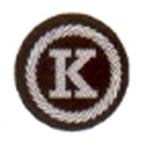 Funktionsabzeichen Kassier